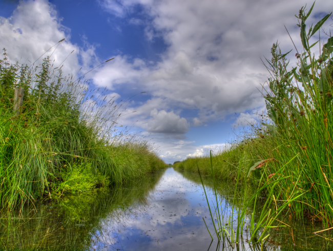 water conservation easement and 1031 exchange