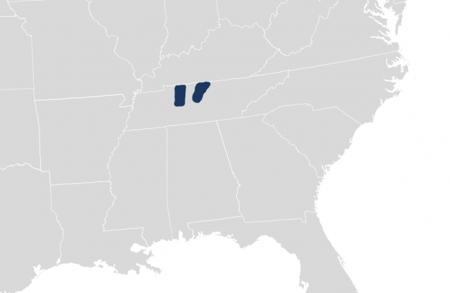 IRS Tax Relief for Multiple Counties in Tennessee due to storms and tornados